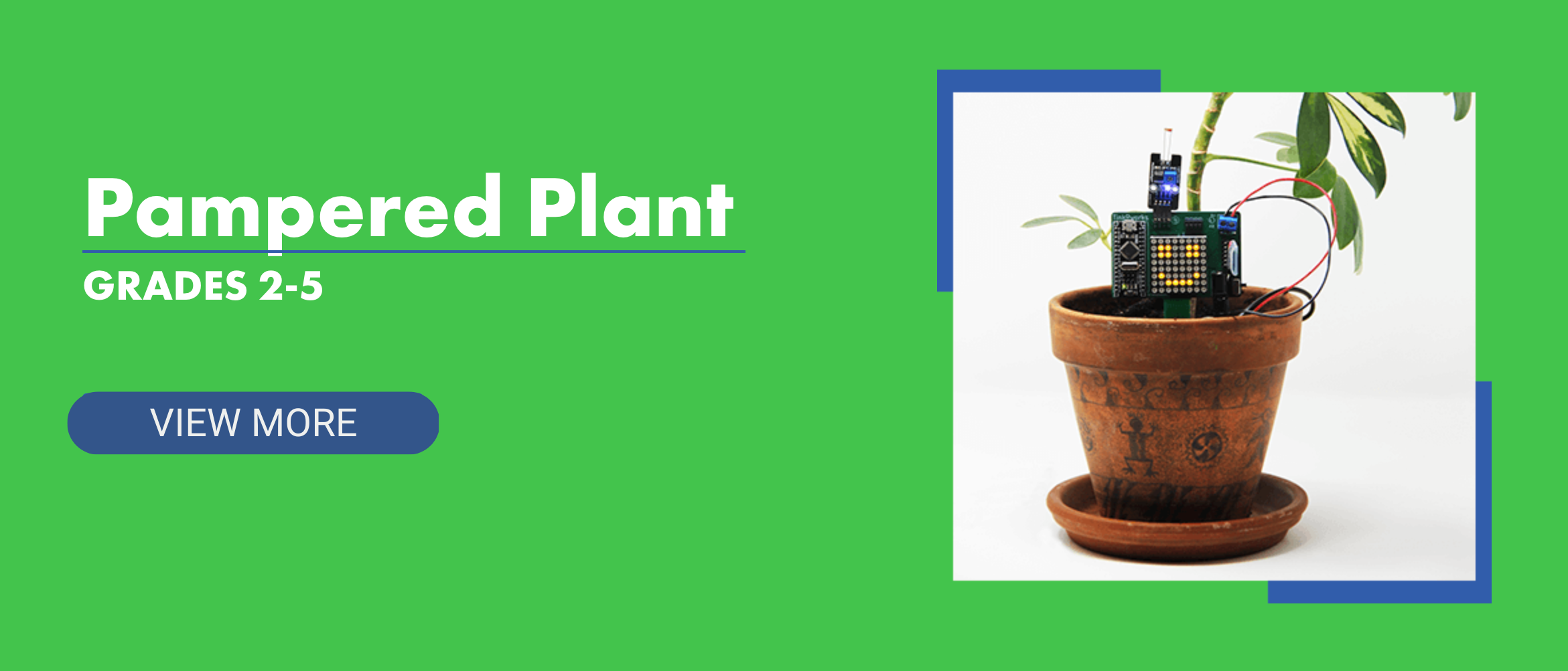Pampered Plant STEAM Project Learn More