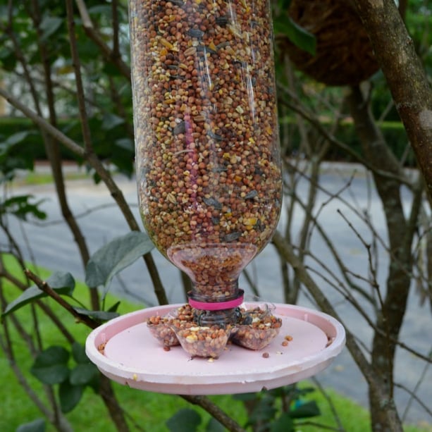 STEAM Project Recycled Bird Feeder